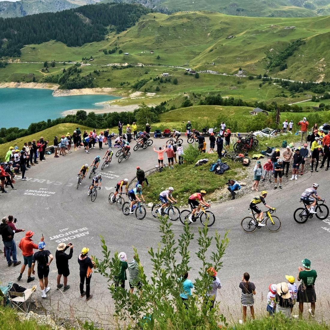 Tour de France 2026: Fechas, Ciclistas y Bicicletas Cannondale | WeRbikes